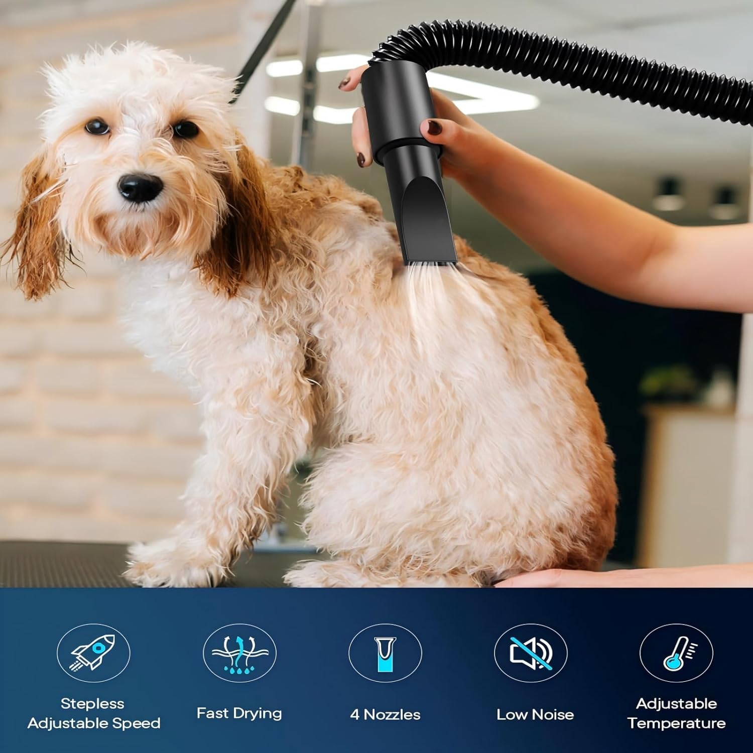 EGFKI Dog Dryer, 5.2HP/ 3800W Pet Grooming High Velocity Force Blower with 4 Nozzles, Adjustable Speed and Temperature Dog Hair Dryers for Grooming