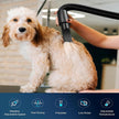EGFKI Dog Dryer, 5.2HP/ 3800W Pet Grooming High Velocity Force Blower with 4 Nozzles, Adjustable Speed and Temperature Dog Hair Dryers for Grooming