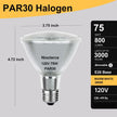 Halogen PAR30 Long Neck 75W 120V 800LM, 6 Pack High Output Halogen PAR30 Dimmable 2800K Warm White with E26 Base, Long Lifespan Long Neck Flood Light Bulb with CRI100 for Recessed Lighting