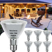 Halogen PAR30 Long Neck 75W 120V 800LM, 6 Pack High Output Halogen PAR30 Dimmable 2800K Warm White with E26 Base, Long Lifespan Long Neck Flood Light Bulb with CRI100 for Recessed Lighting