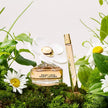 Daisy Love Eau de Toilette with  White Florals & Driftwood 100ml